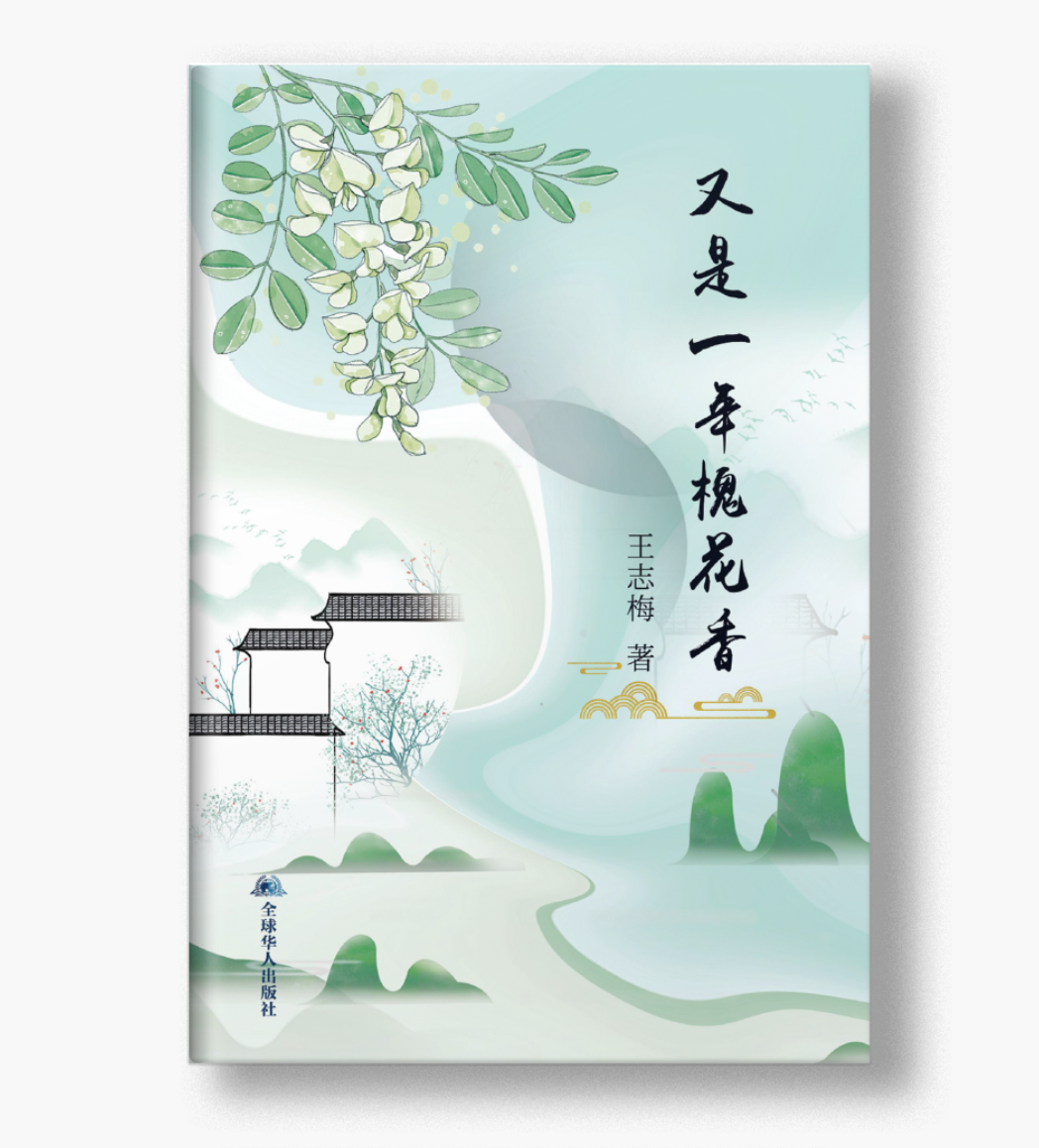 又是一年槐花香