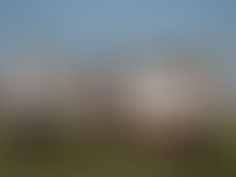 Arlington March 1st 2025