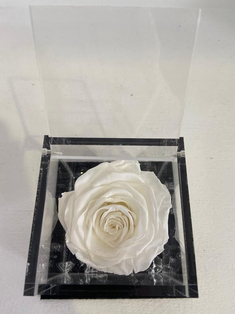 Miniatura: Flower cube - Bianco