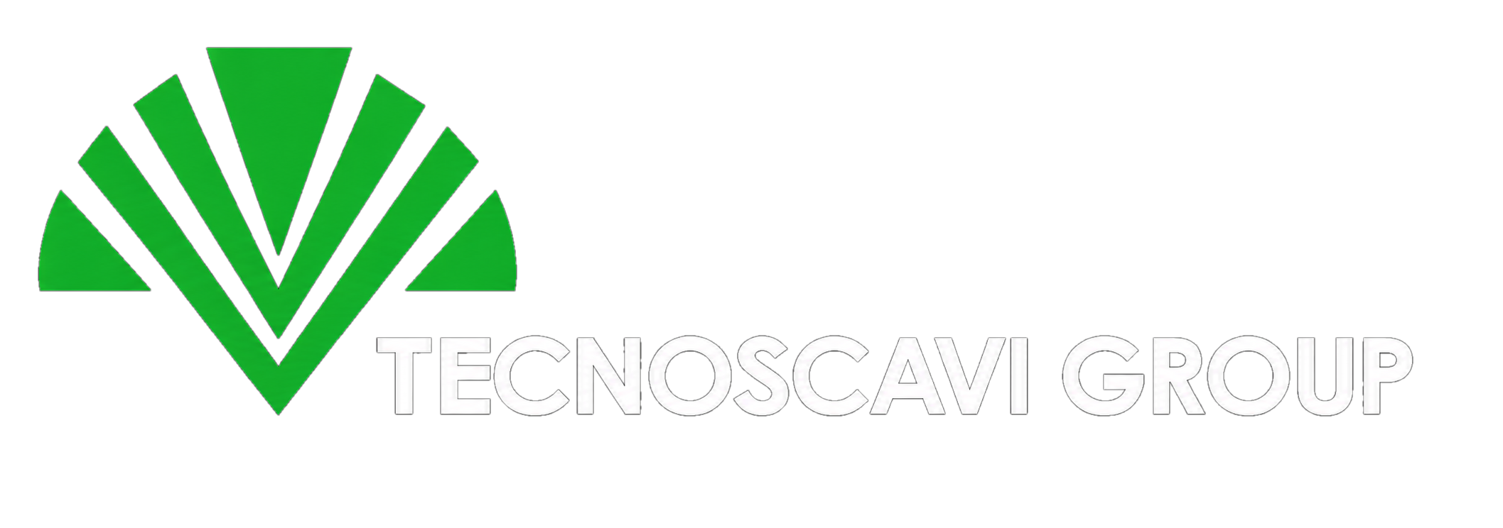 Logo_Tecnoscavi_Group_bianco.png