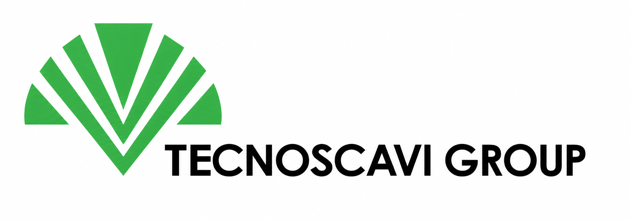 Logo_Tecnoscavi_Group_nero.png