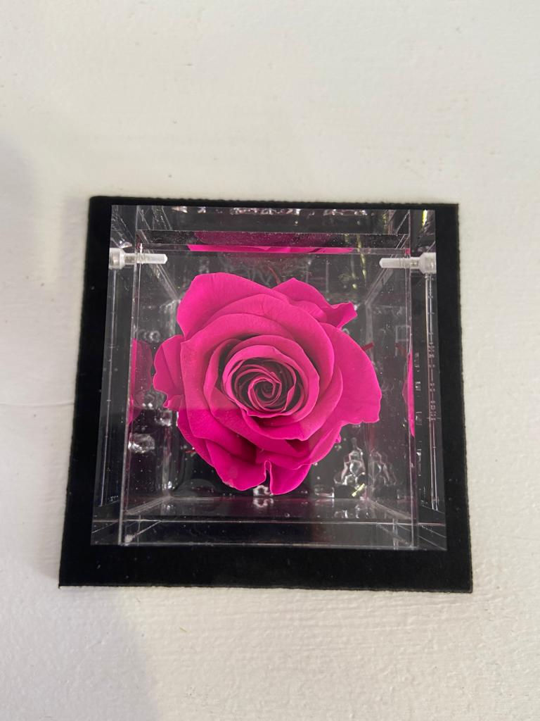 Miniatura: Flower cube - Fucsia