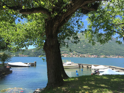 IMG_8124.jpg