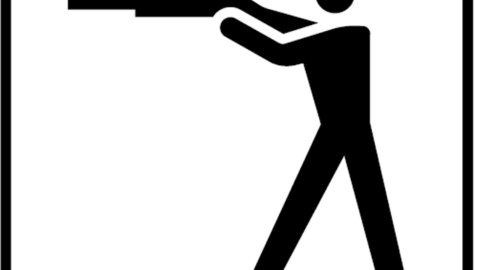 FIGURA II 224 ART. 125

TIRO