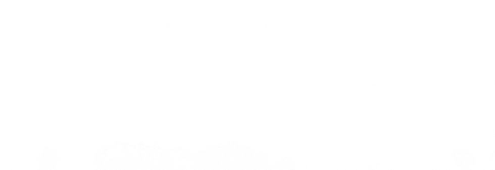 DM Website Sections Images.png