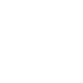DM Website_Square Images (6).png