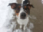 Bandit