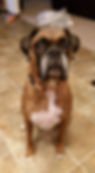 gunther