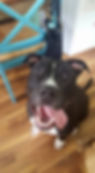 opie