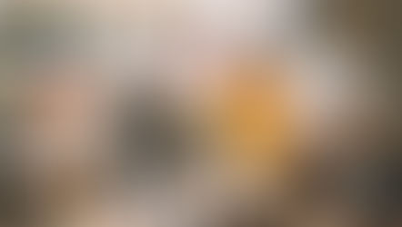 Naturopathy - Holistic Wellness