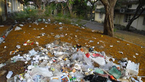 World Environment Day: Key Areas India must work upon in 2018