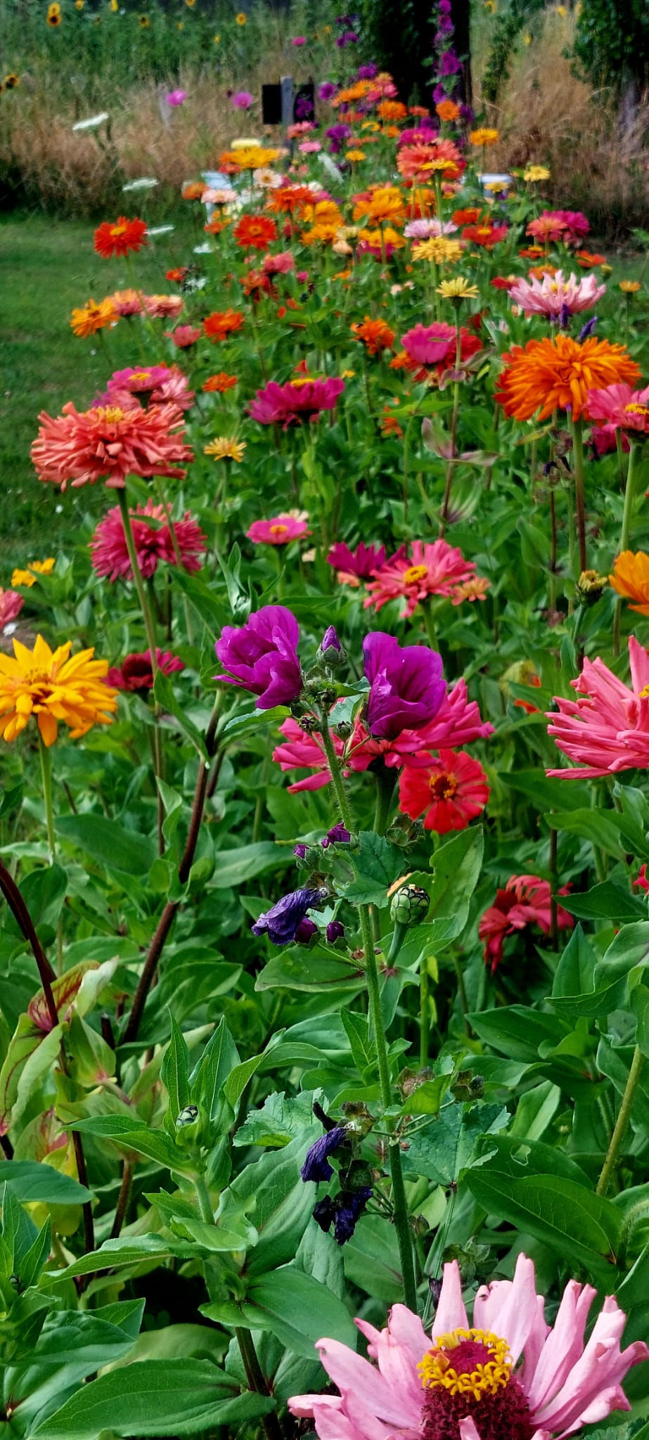 Thumbnail: BOEKET op zaterdag