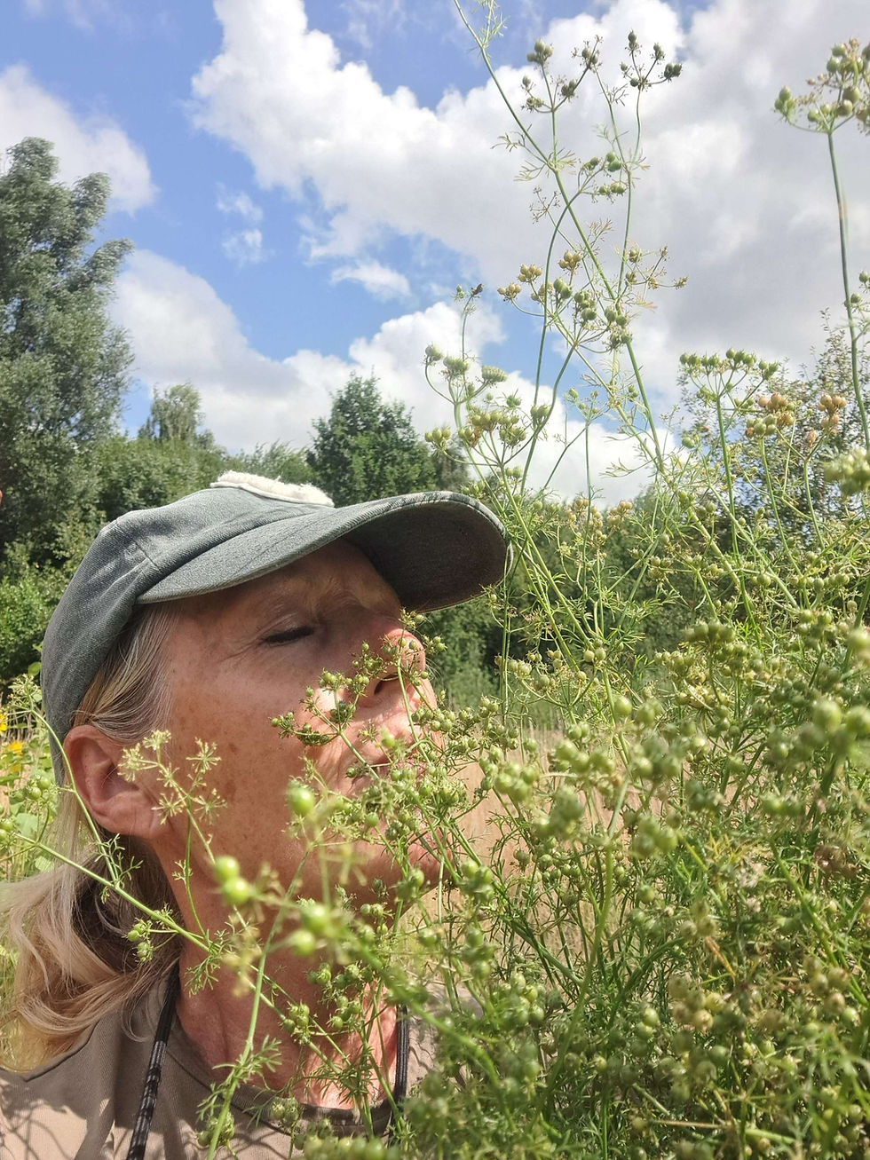 Thumbnail: WORKSHOP  eetbare tuin
