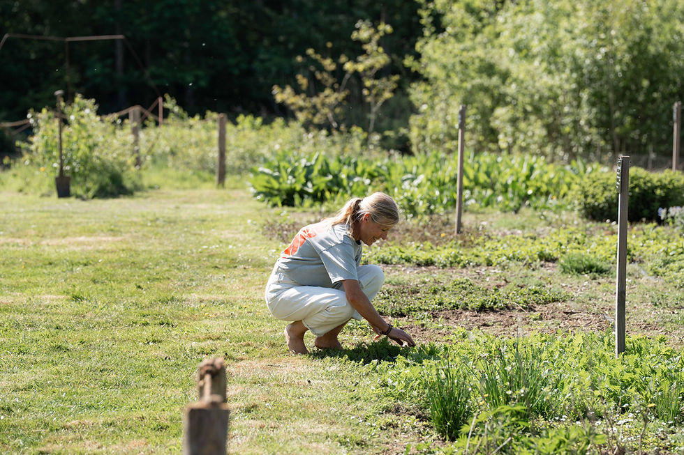WORKSHOP eetbare tuin