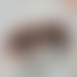 Völki-Night Gelterkinden