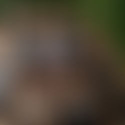 40. Gelterkinder Waldlauf