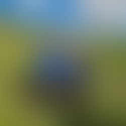 Baselbieter Team-OL Bubendorf 