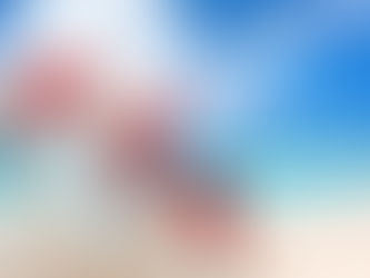 Christmas in Barbados