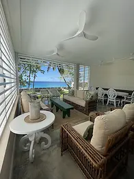 BAREFOOT LEAF 3.webp