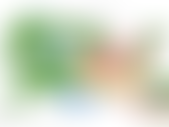 The State of Naturopathic Medicine