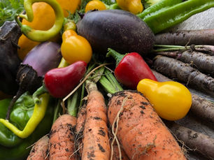 Einkochzeit: Schätze aus dem Garten haltbar machen
