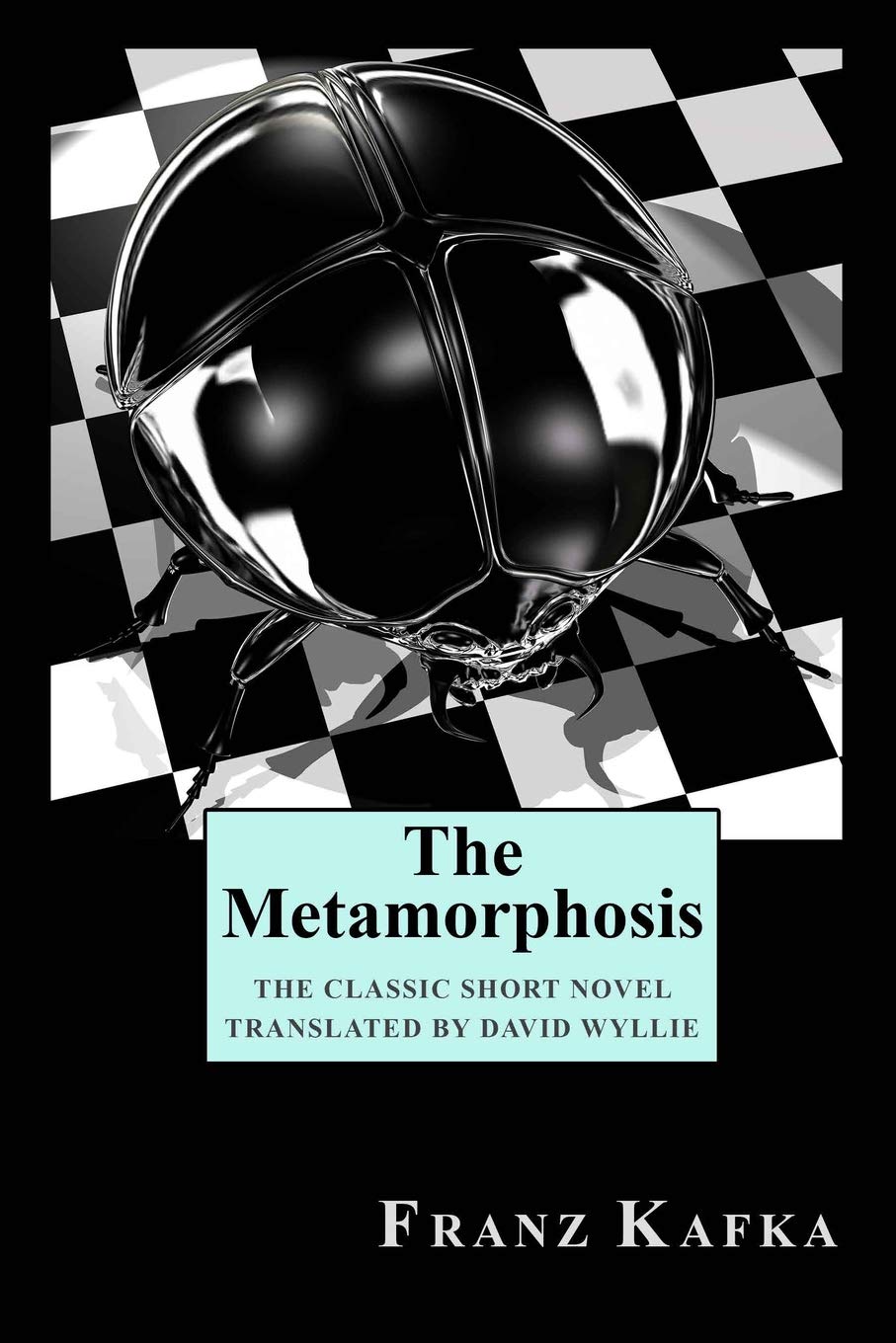 metamorphosis franz kafka art metamorphosis franz kafka art