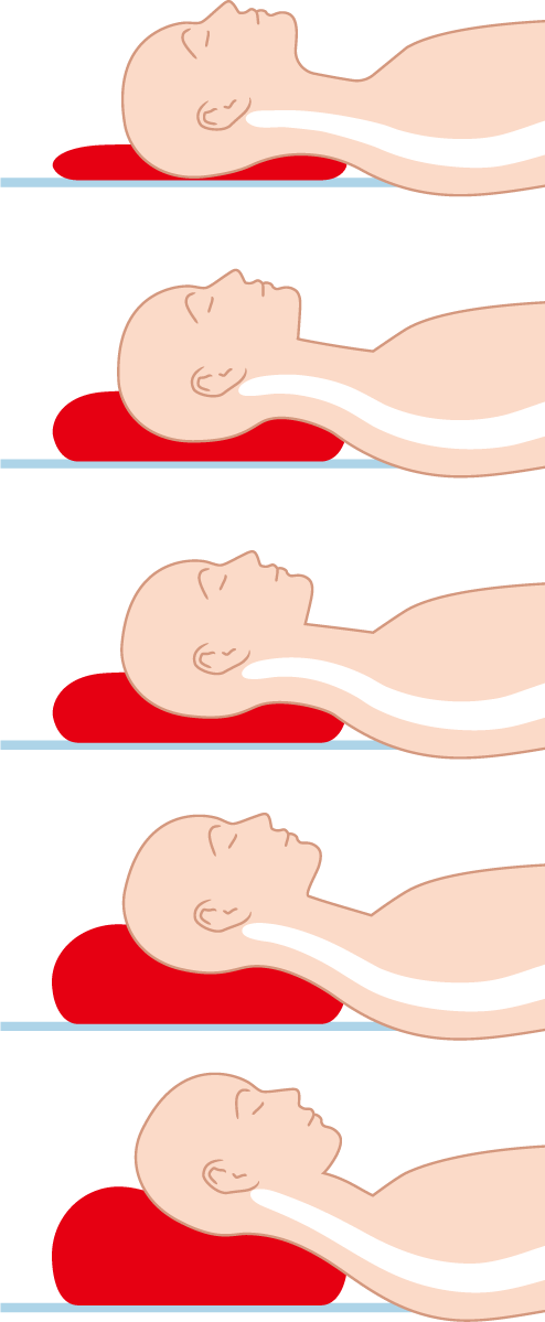 枕の高さによる姿勢 仰向き .png