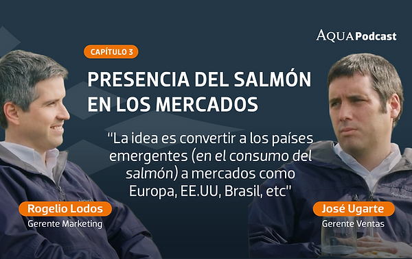 Cap. 3 | Presencia del salmón en los mercados