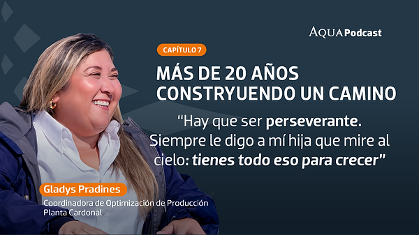 Cap. 7 |  Más de 20 años construyendo un camino