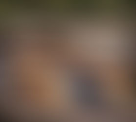 A tufted textured yarn art piece of flowing geological layers and mountain terrain hanging on a piece of driftwood over a creek. 