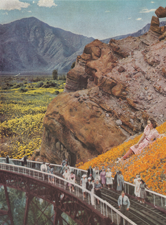 Canyon.png