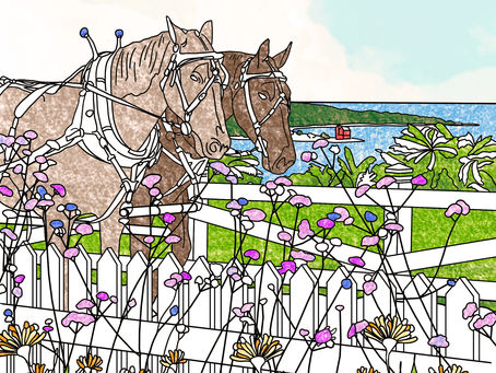 Mindful Mackinac Coloring Book Coming Soon