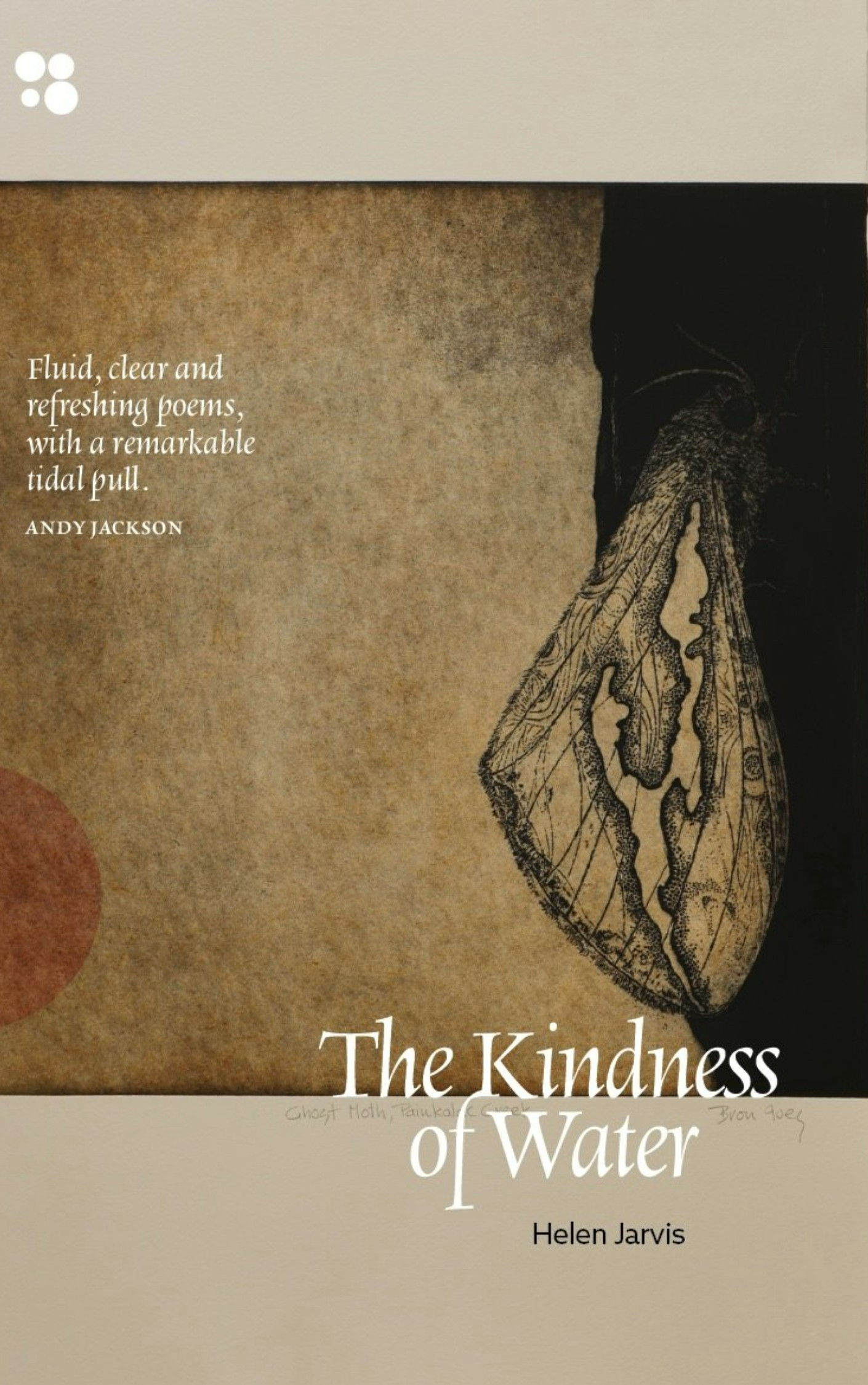 The Kindness of Water by Helen Jarvis