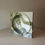Thumbnail: Plinth 7, Lichen
