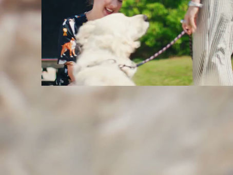 Sum-Up AU Mobile Dog Wash TVC