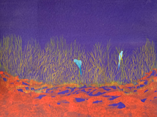 parakeets from a distance