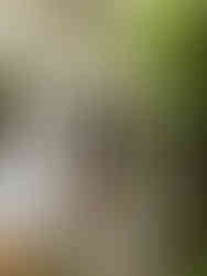 Couples At Home Engagement Session In Savannah Georgia