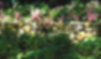 Picture8_edited.jpg