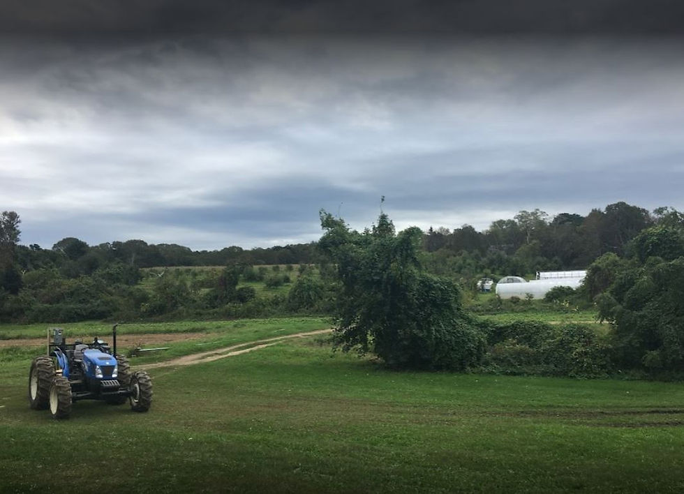 In 1831 the farm covered 52 acres and sported four cows, but no horses.