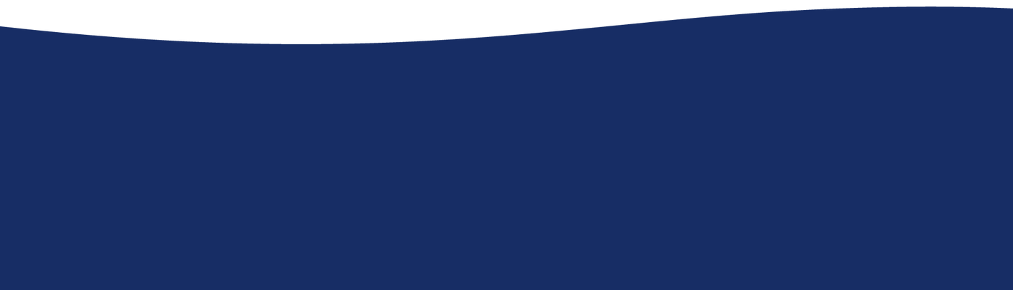 Avis _ Background _ BonReBon