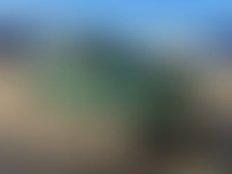 Morris Minor in the workshop