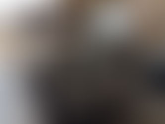 Jowett Javelin ready to go home