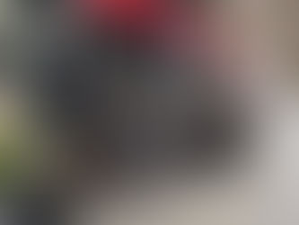 Ford Capri engine out