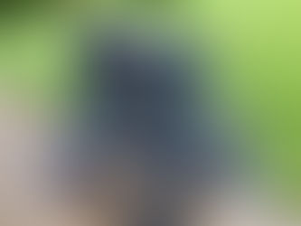 de Havilland Gipsy Major 10 engine coming soon