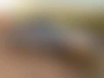 Porsche Boxster in the workshop