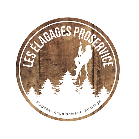 Abattage frêne