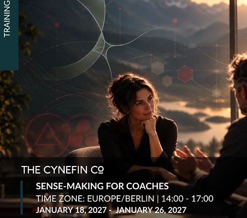 Sense-making for Coaches.png