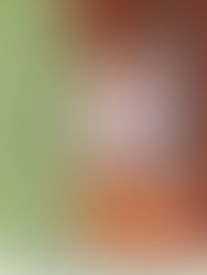 5月30日（土）桂吉弥独演会　サンケイホールブリーゼ　開演14時