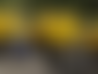 Concurso dos Correios: resultado preliminar é divulgado; veja como acessar