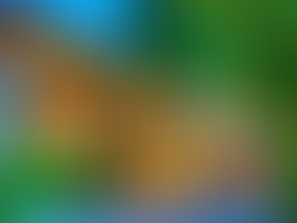 Praia do Forte recebe Encontro Empresarial para bares e restaurantes em parceria com a Turisforte